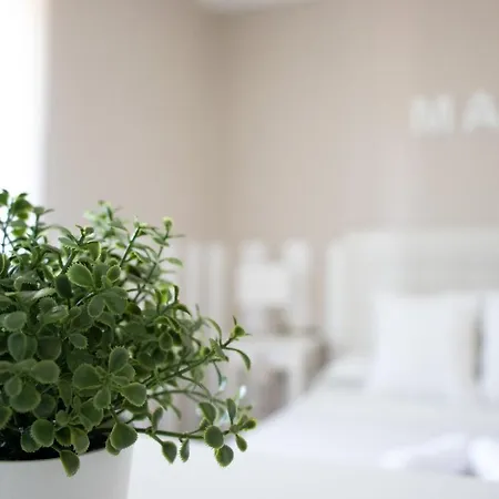 Casa Maia Holiday home A Coruna