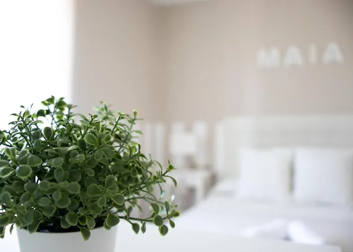 Casa Maia Feriehus A Coruña